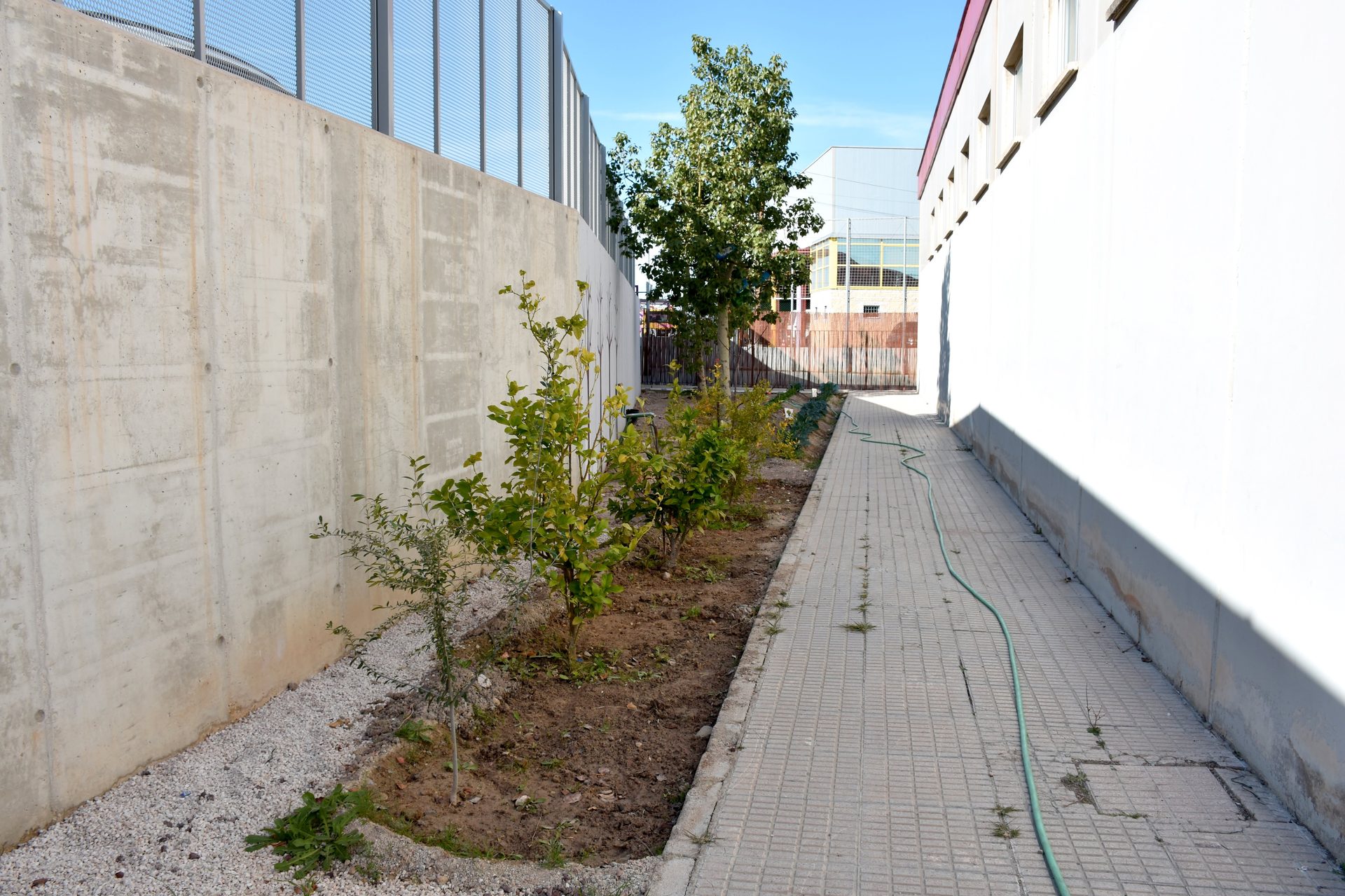Educación Primaria El Taller
